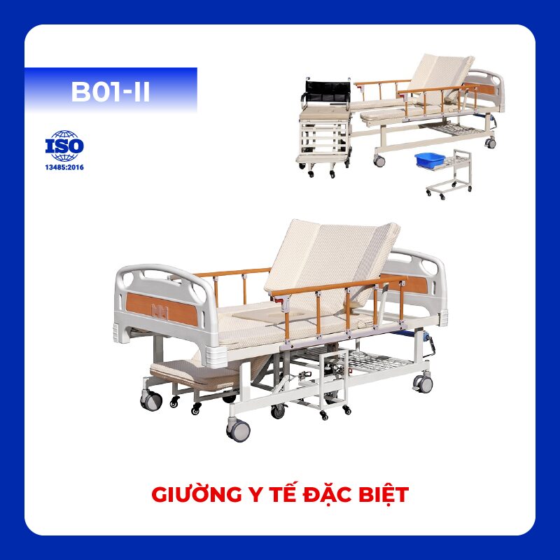 B01-II - Giường Y Tế Đặc BiệtB01-II - Giường Y Tế Đặc Biệt