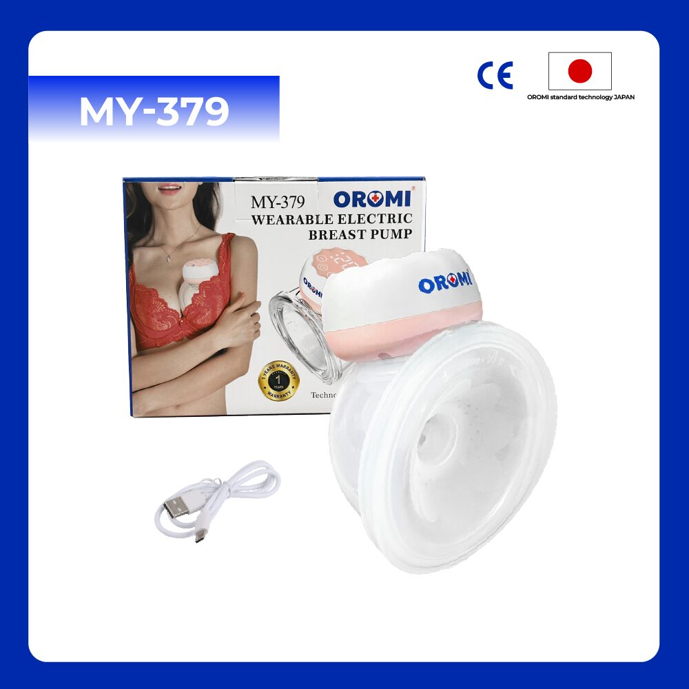 web_MY-379